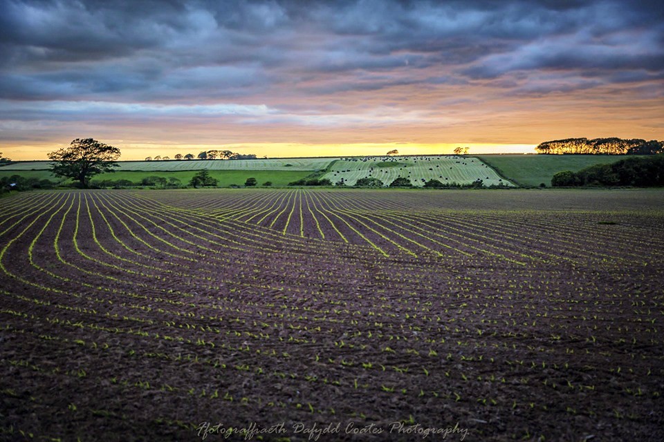 Agricultural Anglesey David Coates Flickr