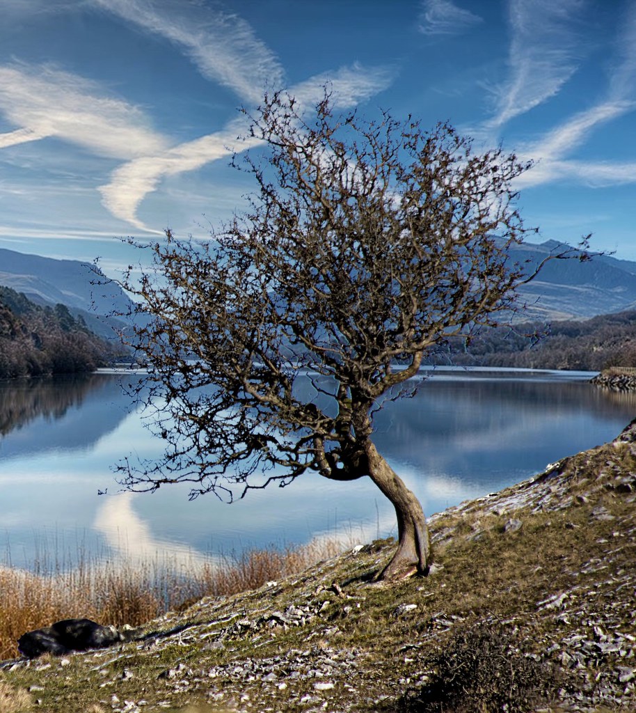 Thorn Lake PETER DAYSON Flickr