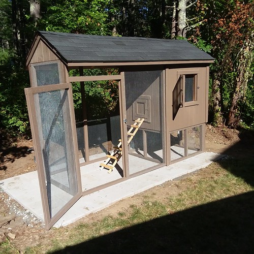 sunnyside coops secure chicken coop build www.sunnysidecoo