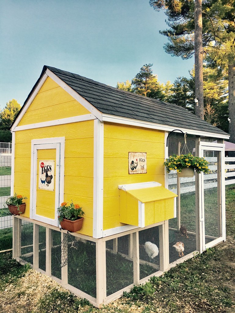 sunnyside coops chicken coop Flickr