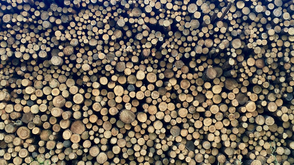 wood atoms sz.u. Flickr