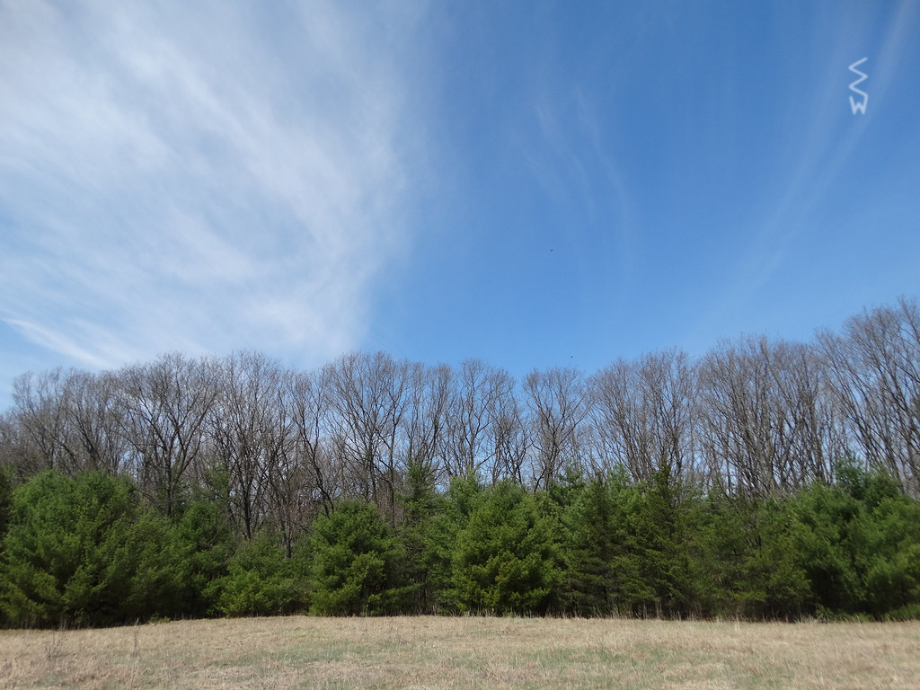 View from RocheACri State Park near Friendship, WI, 04/2… Flickr