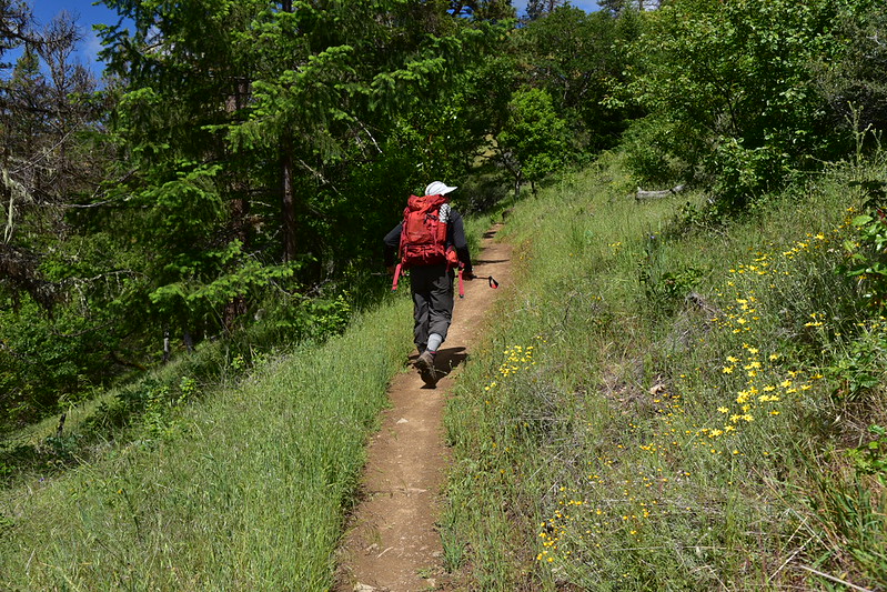 East Applegate Ridge Trail Just Peachy