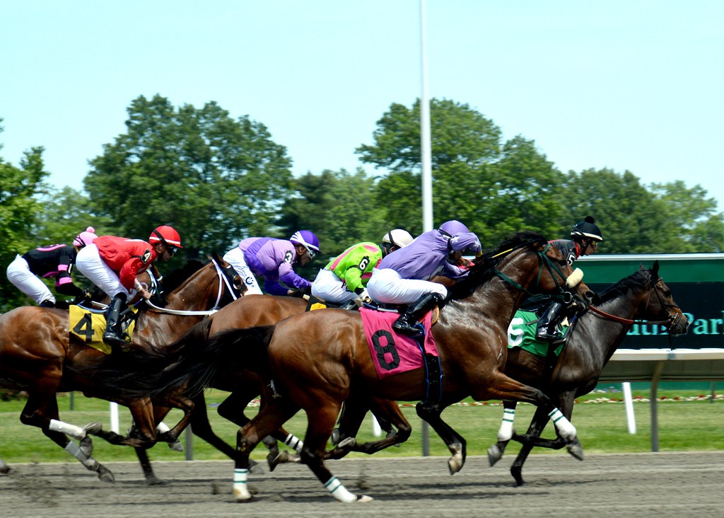 087 Monmouth Race Track Robert Scifo Flickr