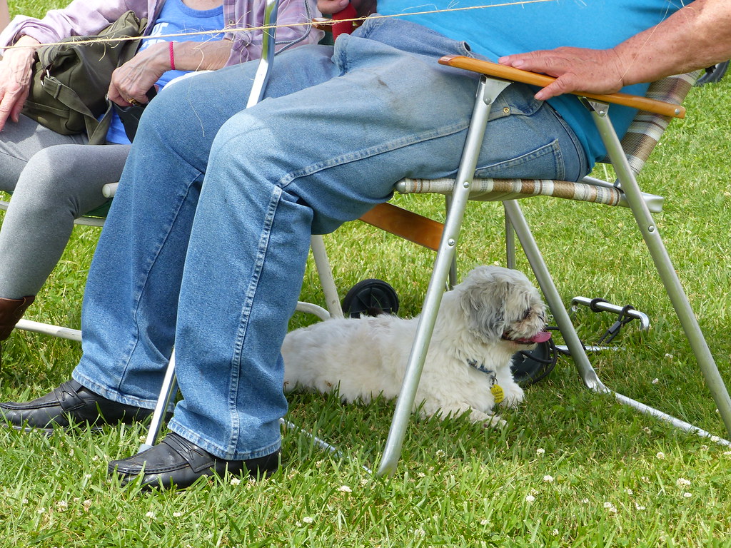 2019 Nanticoke LenniLenape Pow Wow Woodstown, New Jersey Flickr
