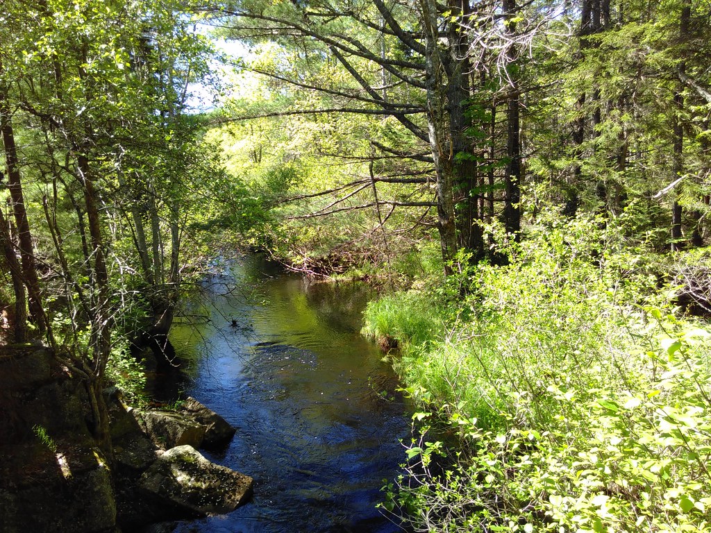 Bay to Bay Trail (2) John Van Laer Flickr