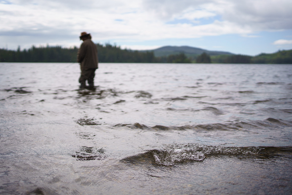 Klawock Lake Predation Study The Klawock Lake Watershed wa… Flickr