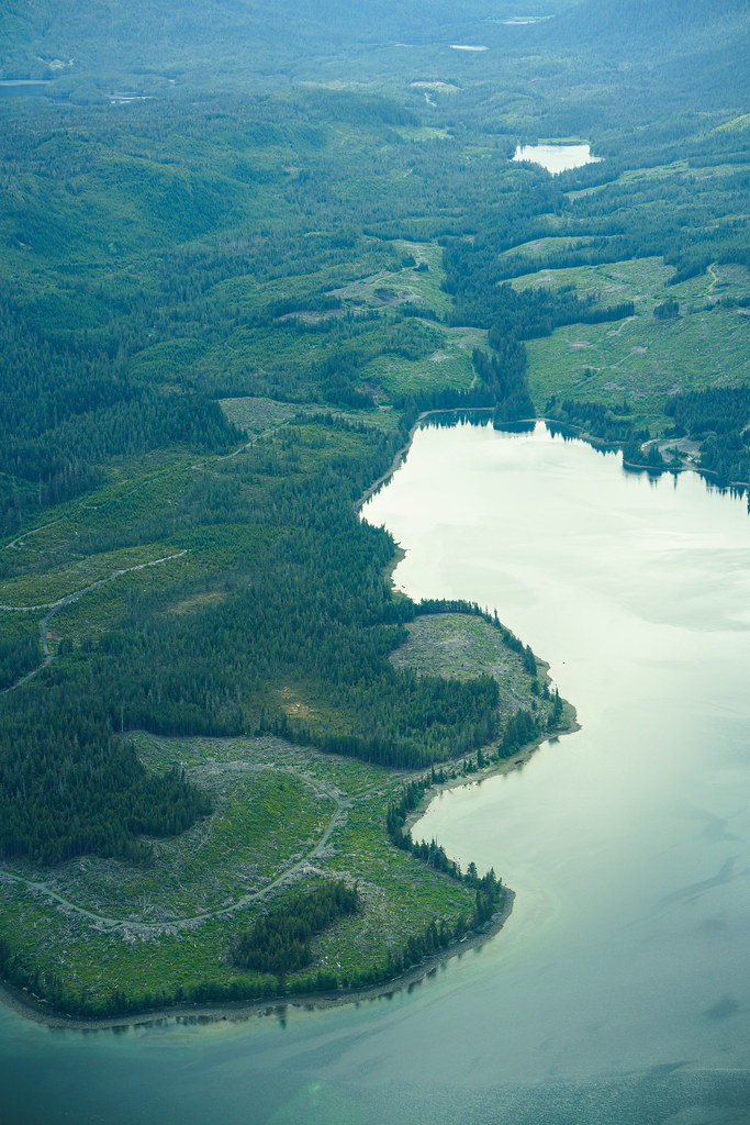 Klawock Lake Predation Study The Klawock Lake Watershed wa… Flickr