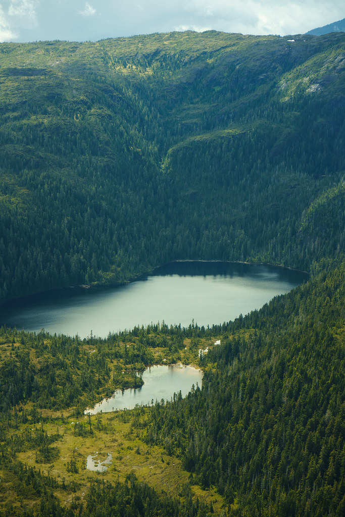 Klawock Lake Predation Study The Klawock Lake Watershed wa… Flickr