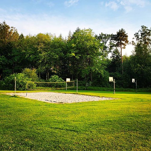 Three basketball hoops on a lawn. What kind of game would … Flickr