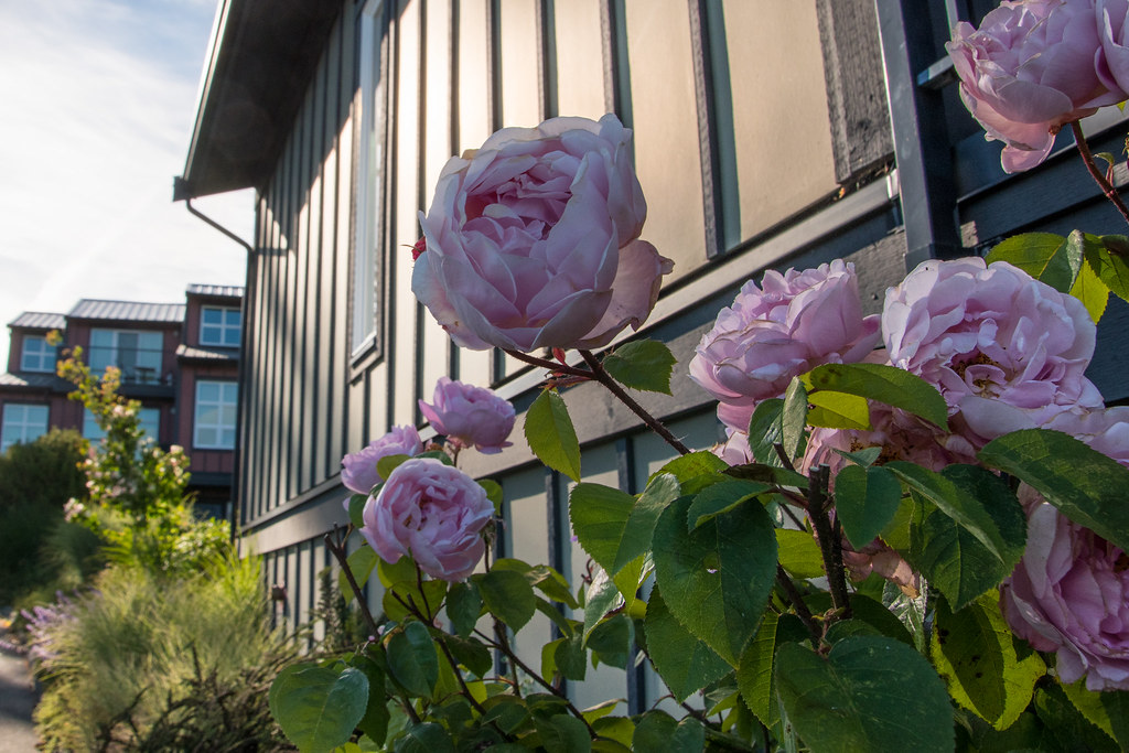 Exploring Sooke Exploring Sooke thanks to our home base, S… Flickr