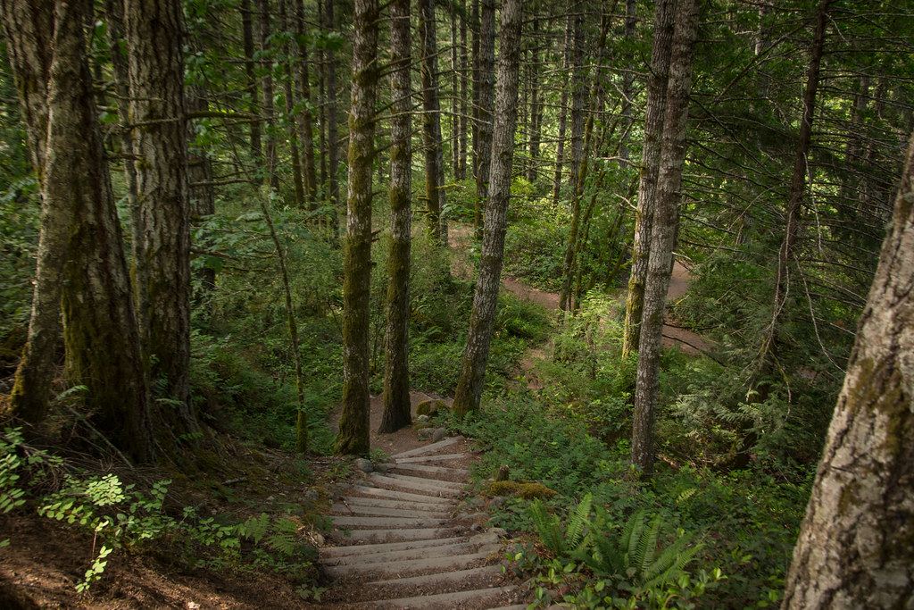 Exploring Sooke Exploring Sooke thanks to our home base, S… Flickr