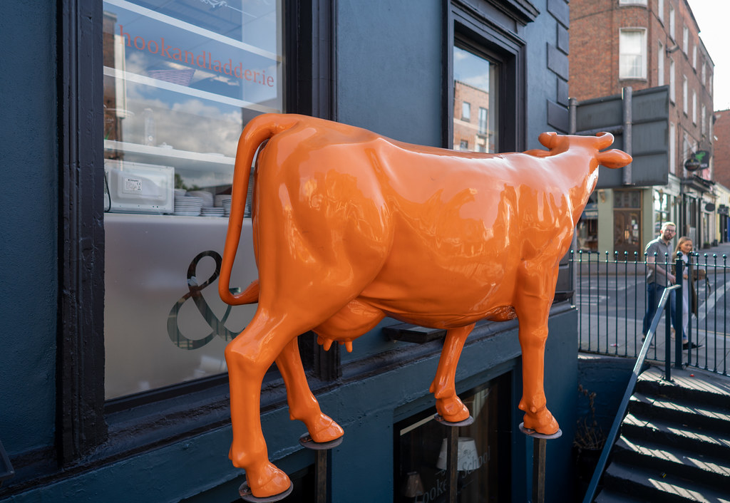 I LIKE THIS VERY ORANGE COW