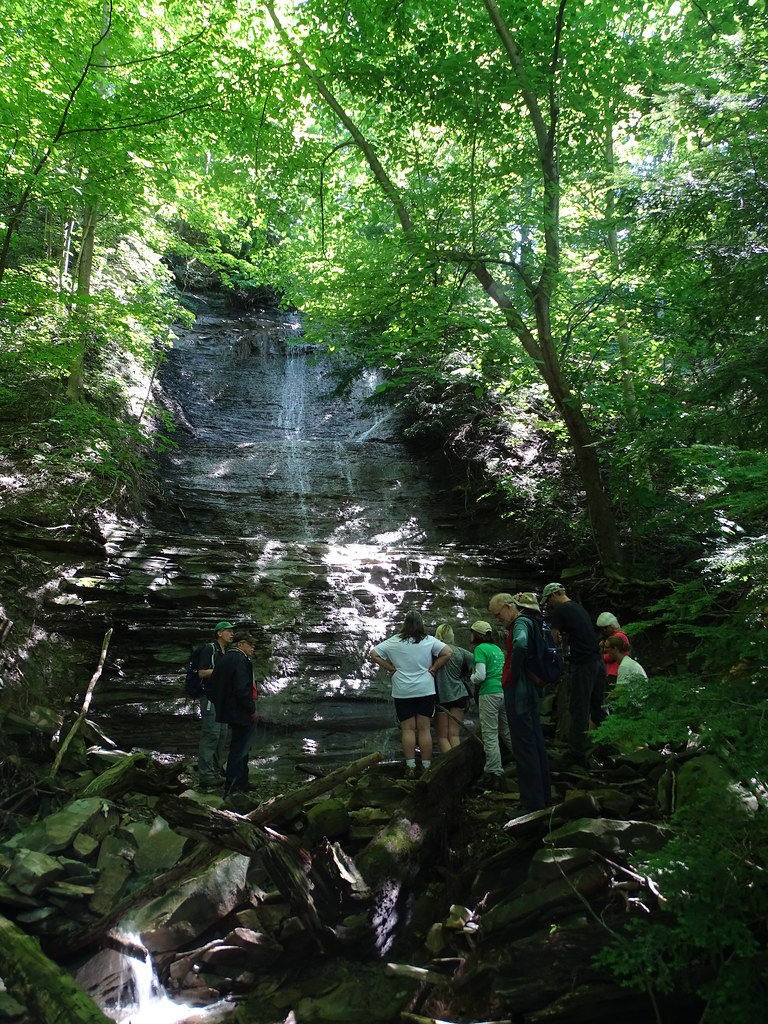 Woodlands of Bedford The Nature in Bedford Glens June 22, 2019 Flickr