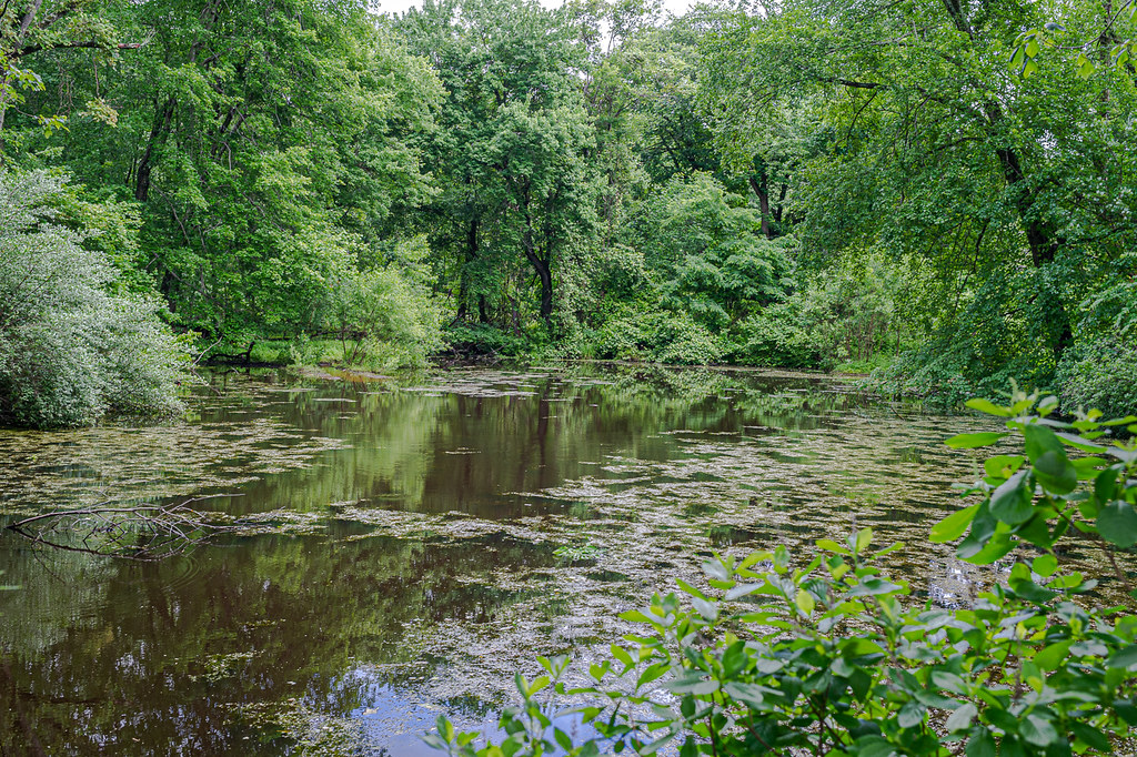Henry Hudson Trail, Big Brook Park , Marlboro, NJ Big Broo… Flickr