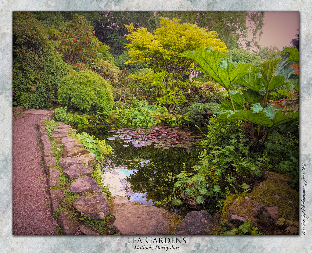 Lea Gardens, Matlock Last week saw our first visit to the … Flickr