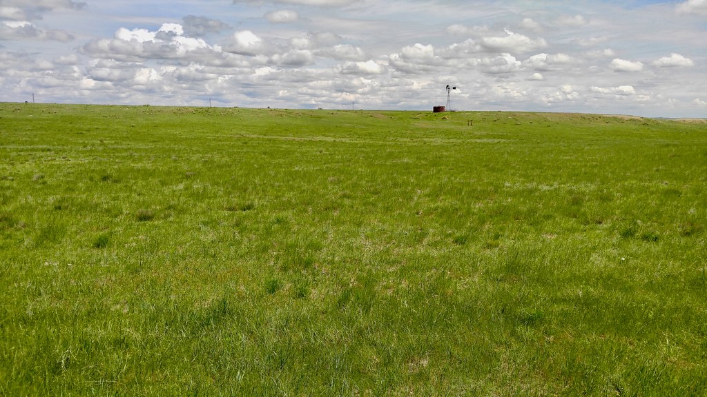 State Line Rd. Habitat shot for eBird list Van Remsen Flickr