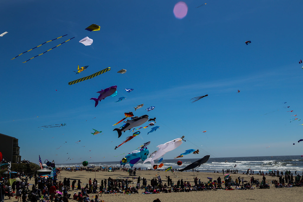 Kite Lincoln City, Oregon Kite Festival Eddie W Flickr