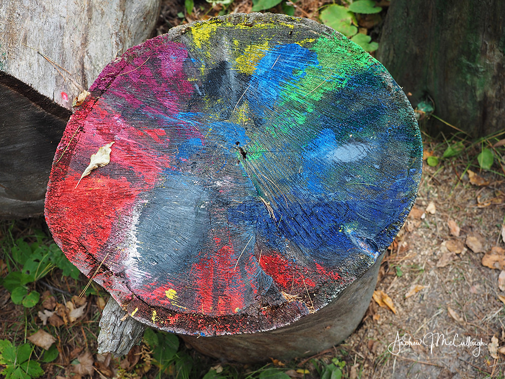 Painted Logs (2 more pics in comment 1) While hiking in It… Flickr
