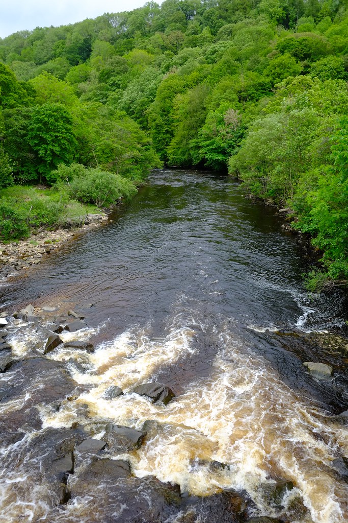 The Dales North Yorkshire Yorkshire Dales Rivers Trust R… Flickr