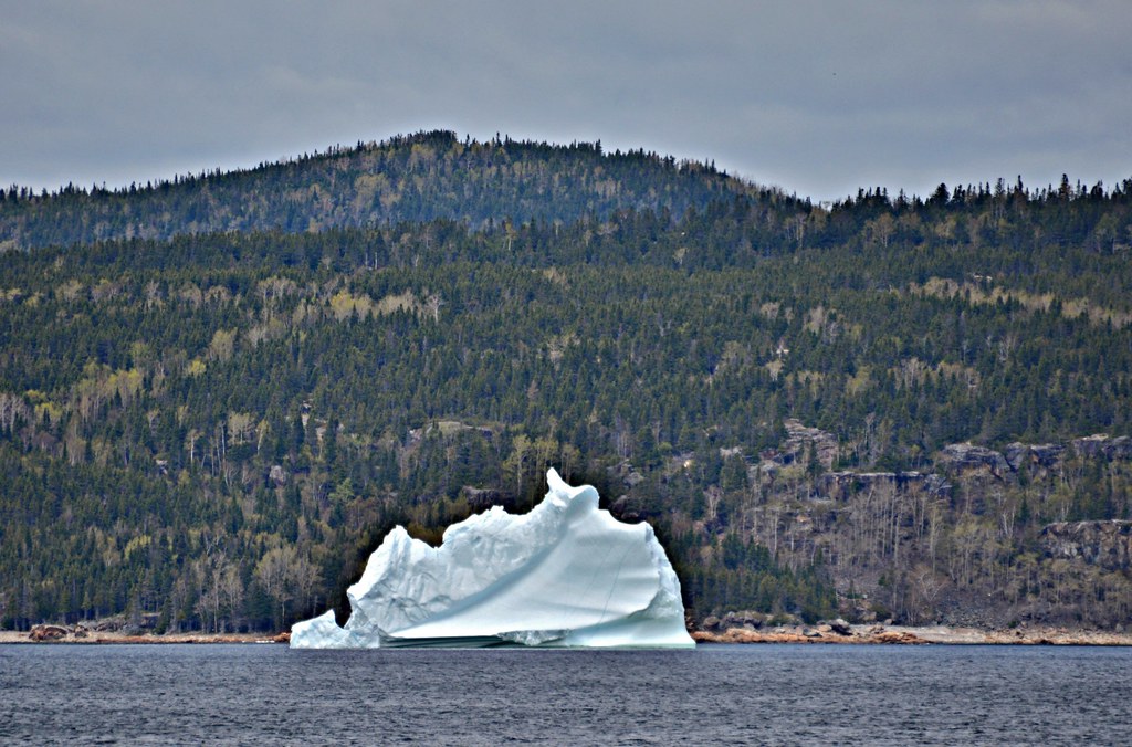 Iceberg, Jackson's Cove, NL Snuffy Flickr