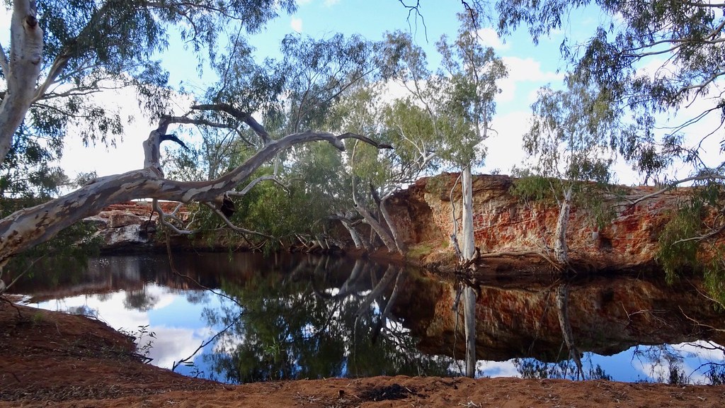 Bilung Pool Carnarvon Mullewa road Mick Flickr