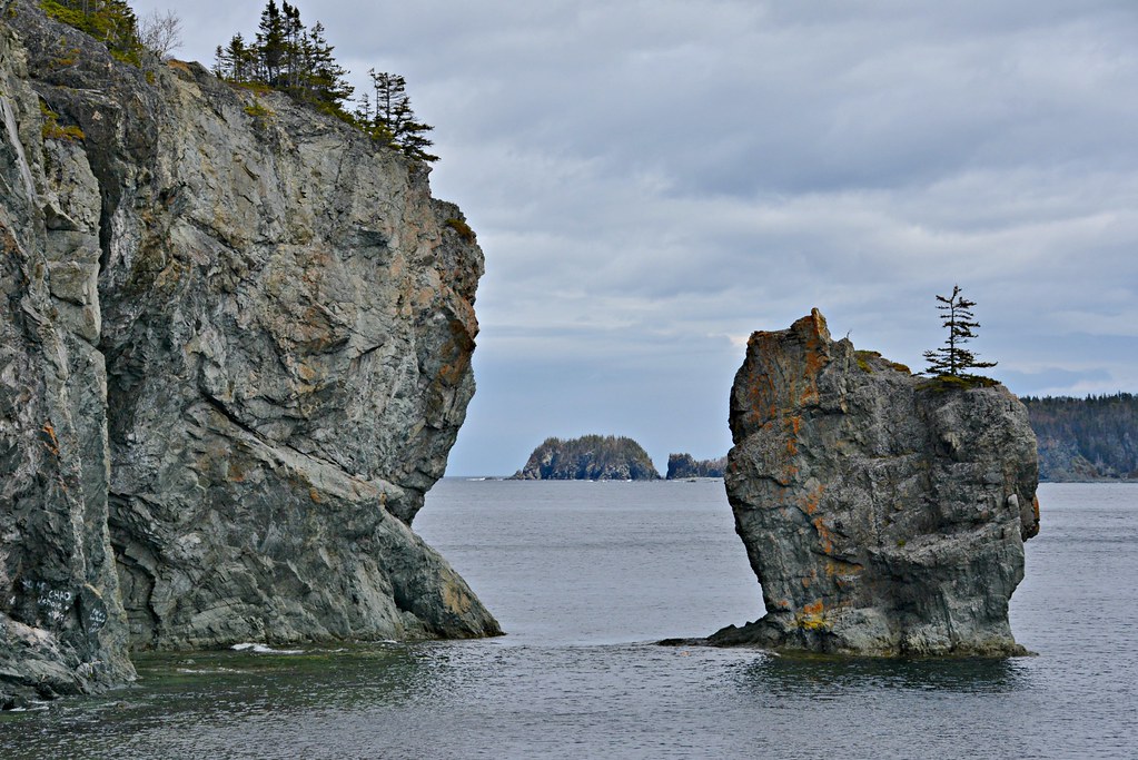Harry's Harbour, NL Snuffy Flickr