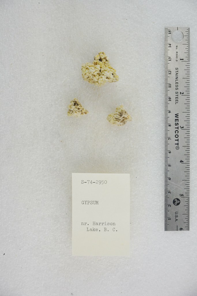 Gypsum near Harrison Lake British Columbia, Canada Pacific Museum