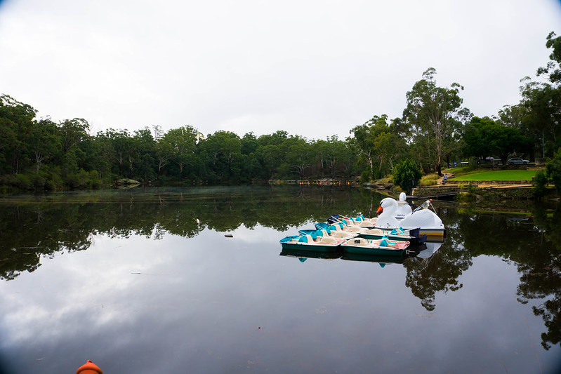 Adventures in Sydney Lake Parramatta Dignifiable
