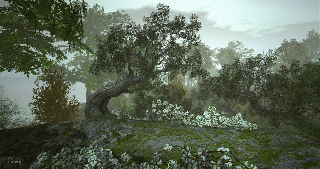 20190628 Trees CandleWood, CandleWood (52, 117, 33) Mo… Flickr