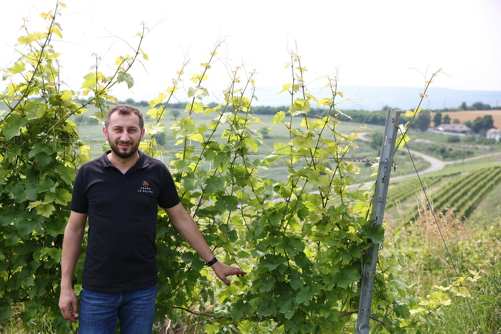 La Salina Winery 2019 revino wine tourism 2019 Flickr