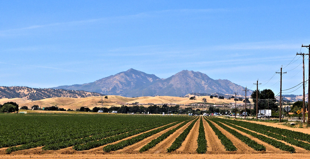 Leading Lines Mount Diablo, Brentwood, CA Richard Angeloni Flickr