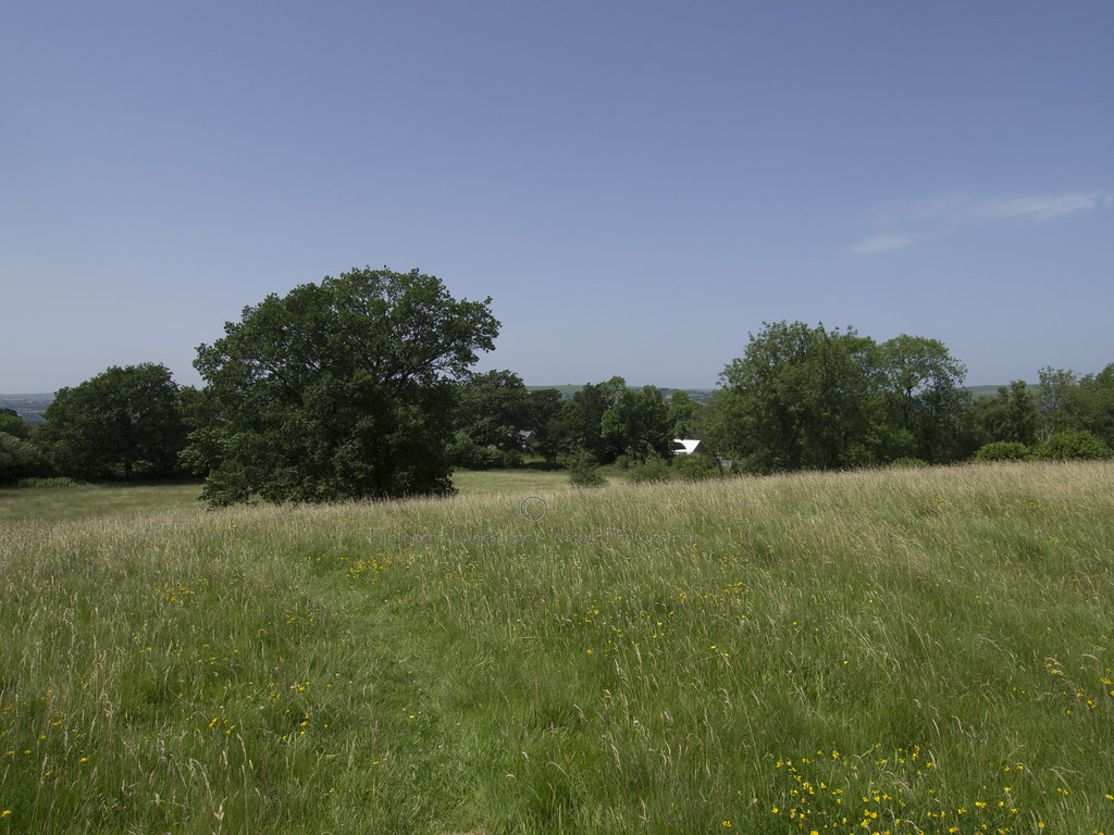 Birches Farm HNT Reserve Turbogirlie Flickr