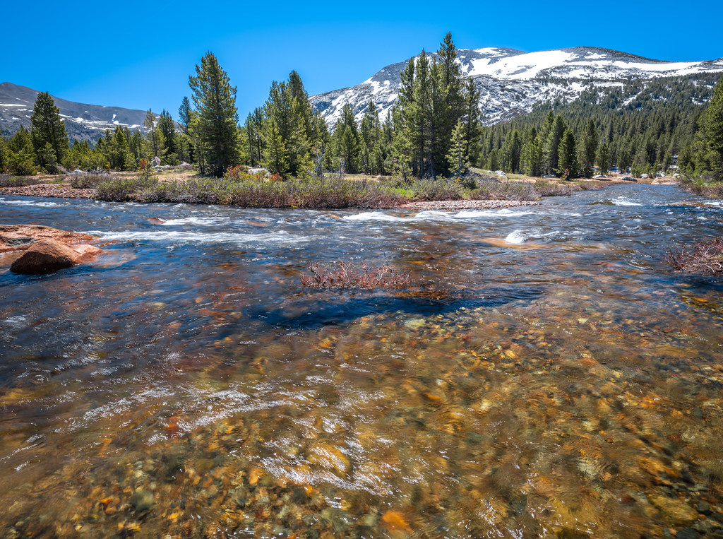 Fujifilm GFX 100 Medium Format Mirrorless Camera at Tuolumne Meadows Yosemite National Park