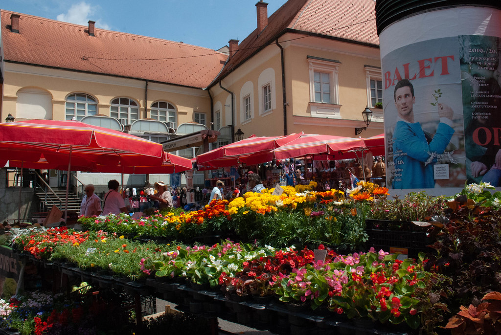 Croatia40 Flower market Zagreb Deborah Davidson Flickr