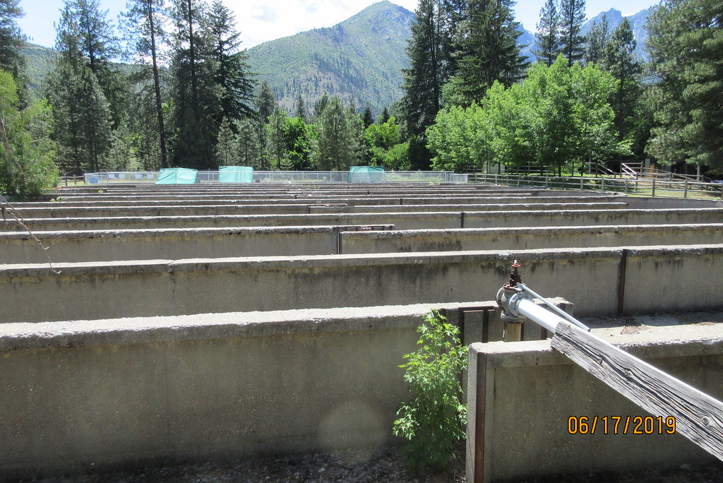 National Fish Hatchery Leavenworth WA fuzzie199 Flickr