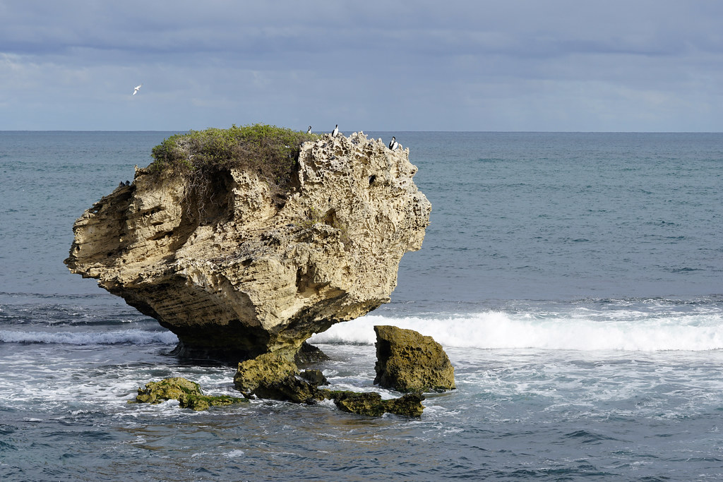 Popular with the birds limestone rock at Cape Peron GSR… Flickr