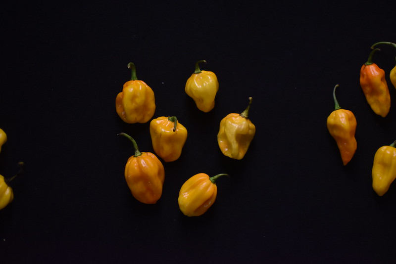 The Fresh Peppers of Nigeria Kitchen Butterfly