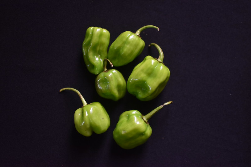 The Fresh Peppers of Nigeria Kitchen Butterfly