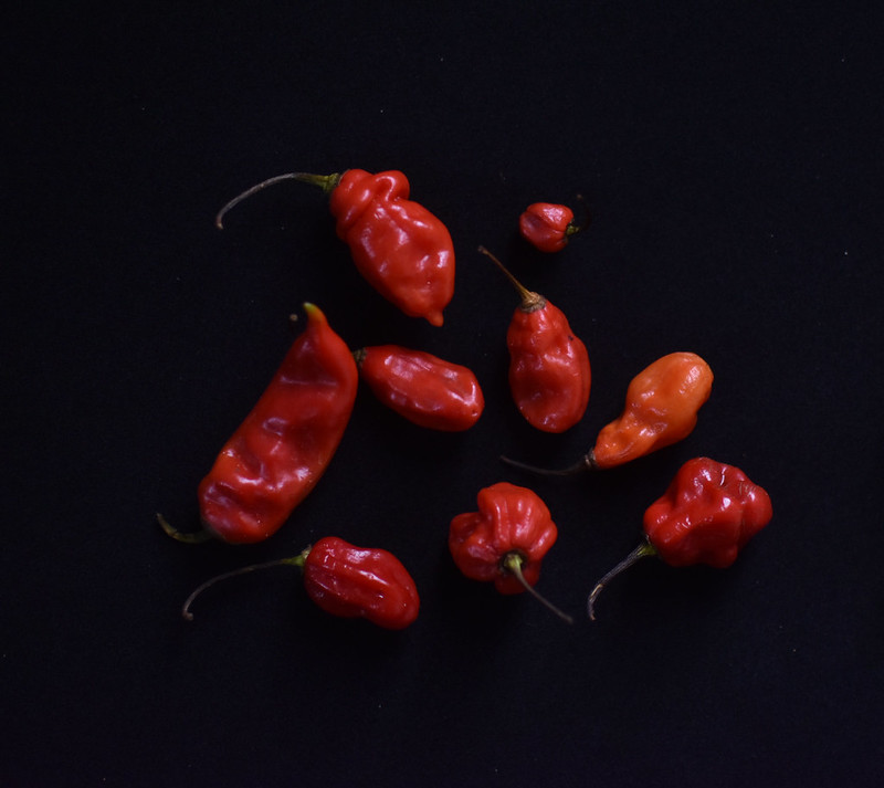 The Fresh Peppers of Nigeria Kitchen Butterfly