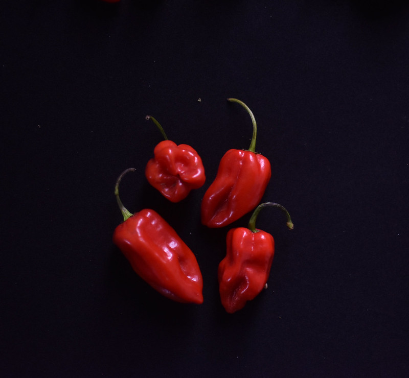 The Fresh Peppers of Nigeria Kitchen Butterfly