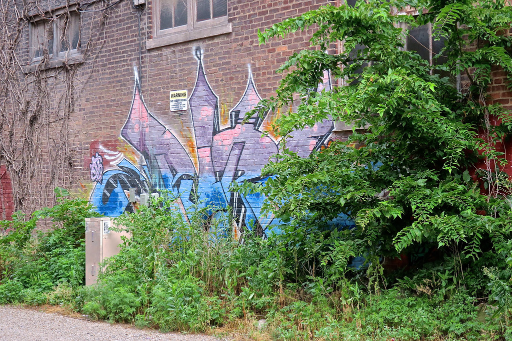 Graffiti, Kansas City, MO Overgrown graffiti art in Kansas… Flickr