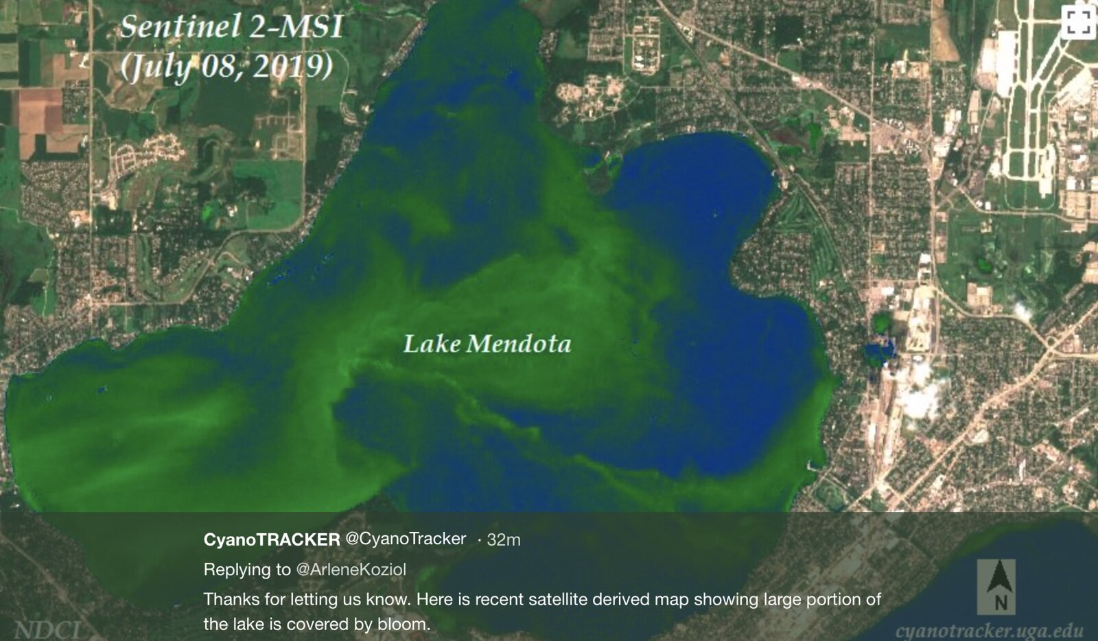 Lake Mendota Cyanobacteria Bloom, July 8, 2019 Flickr