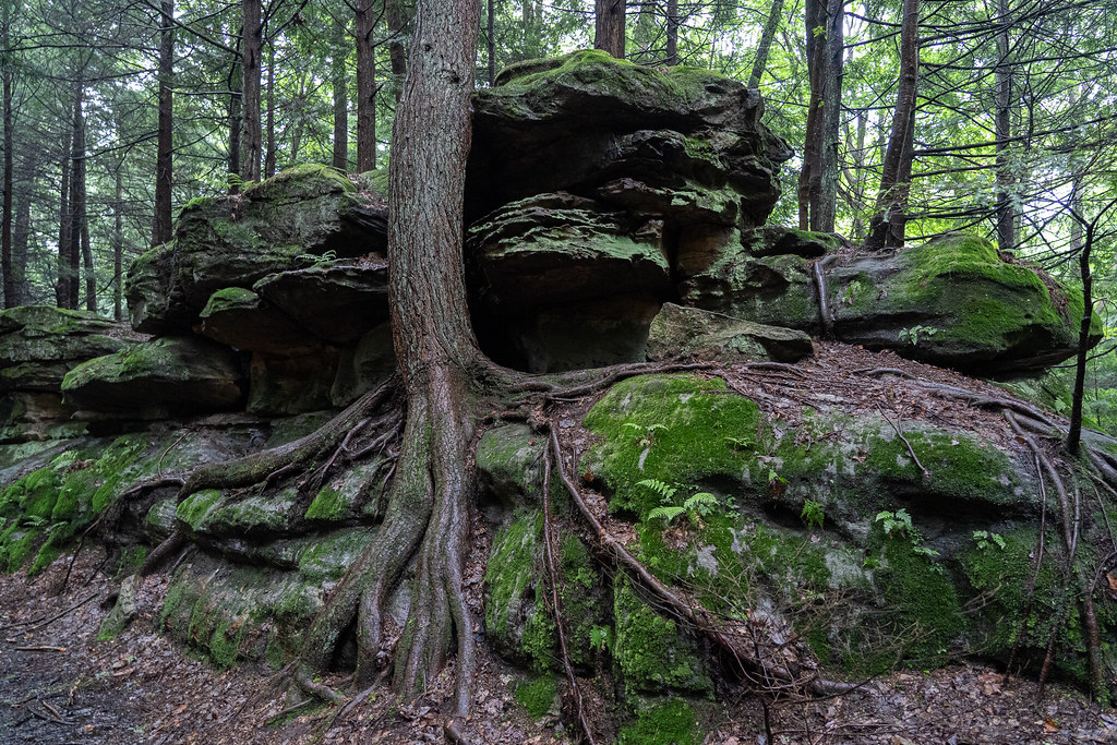 Bilger's Rocks Grampian, PA Rob Vaughn Flickr
