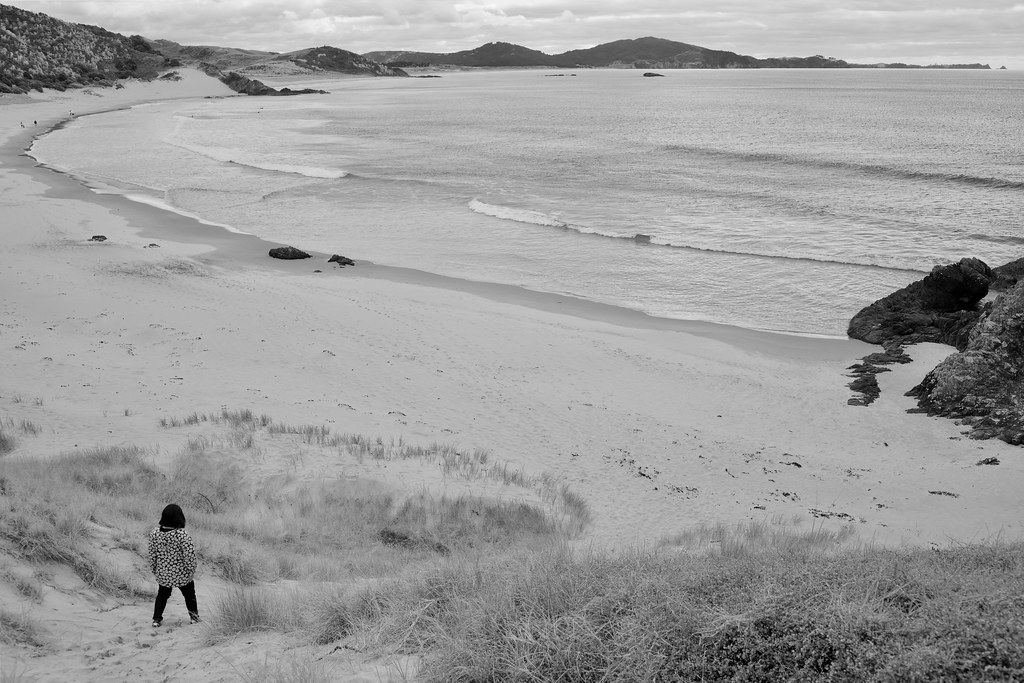 Whangarei Heads, Aotearoa Carl Zeiss Contax Yashica Vario… Flickr
