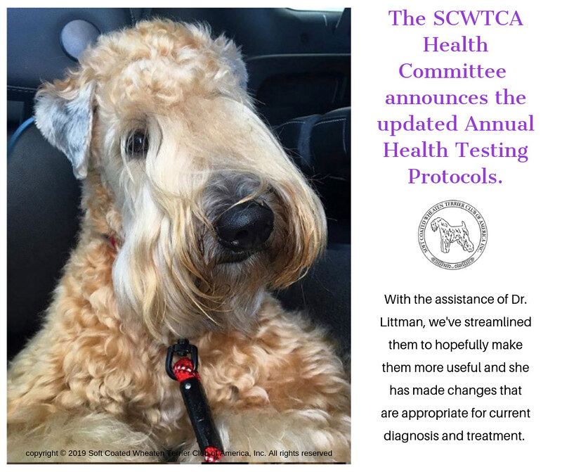 SCWTCA Health Protocol Flickr