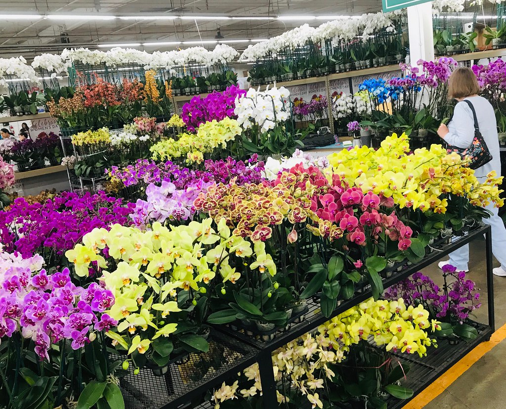 Tripping thru DTLA including the flower market Maria A. Pallante Flickr