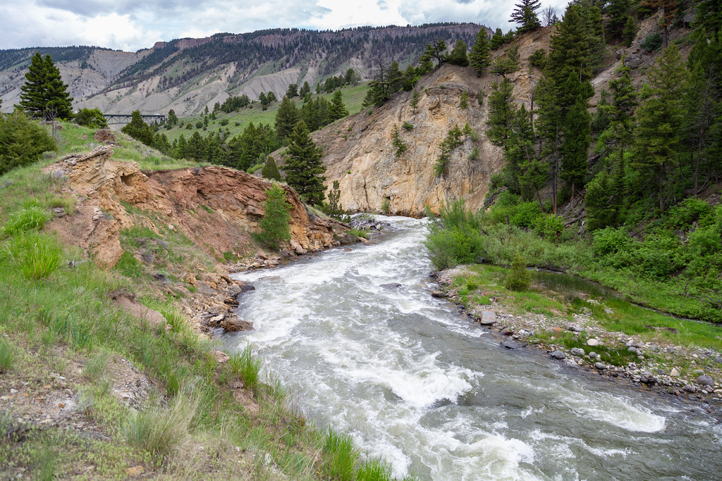 Gardner River flowing towards the Gardner River Bridge a photo on