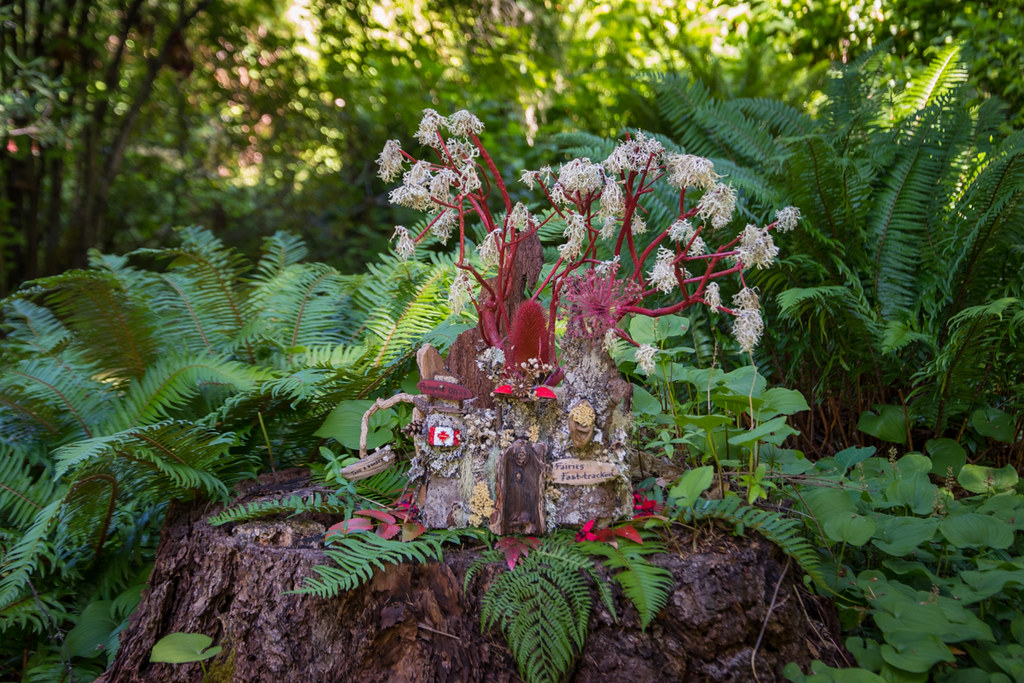Fairy House at Milner Gardens Rebecca Bollwitt Flickr