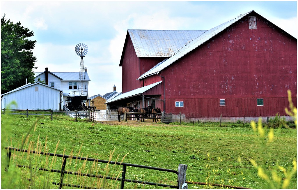 Amish Countryside Berlin, Ohio Jim Hoover Flickr